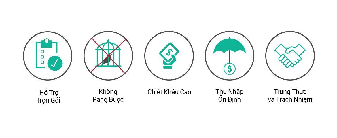 thiết kế áo online